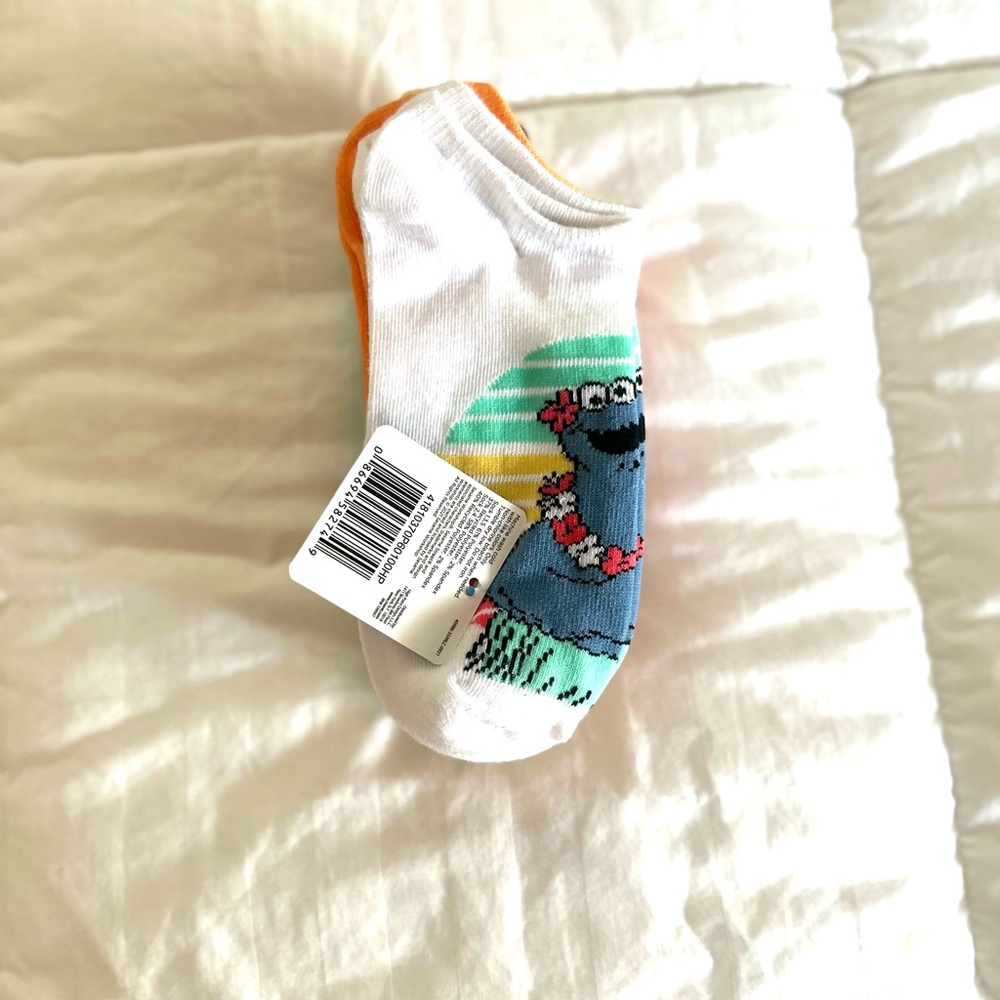 NWT women’s Sesame Street Socks